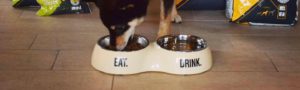 Aliments-Versele-Laga-chiens-3