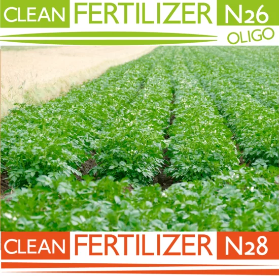 Clean Fertilizer N26 et N28